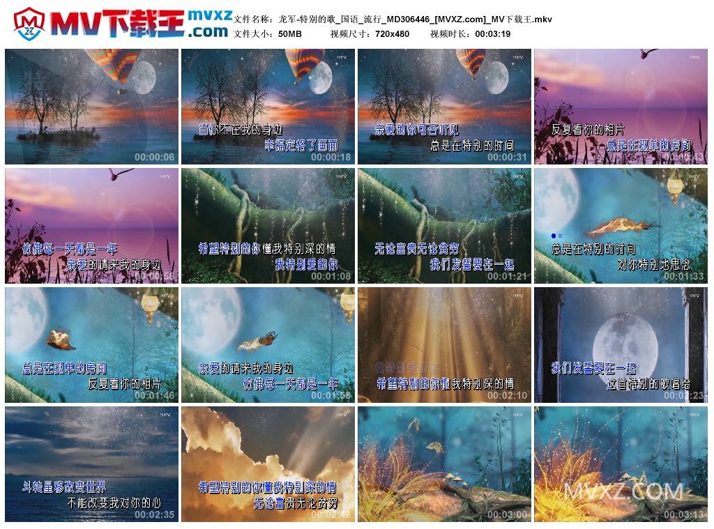 龙军-特别的歌_国语_流行_MD306446